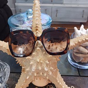 Beautiful tortoise look sun glasses